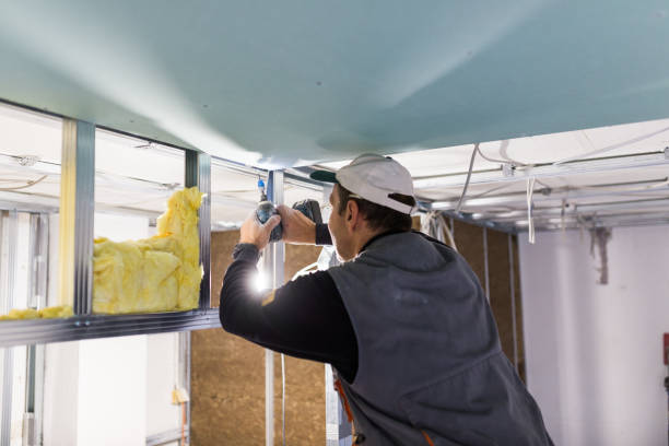 Best Residential Insulation in Montgomery Village, MD
